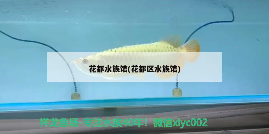 花都水族館(花都區(qū)水族館) 祥龍水族護理水