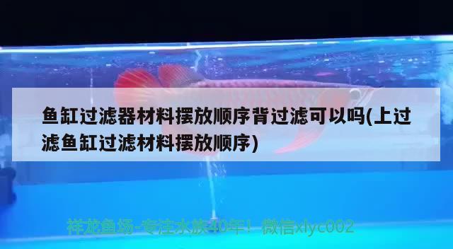 魚缸過濾器材料擺放順序背過濾可以嗎(上過濾魚缸過濾材料擺放順序)