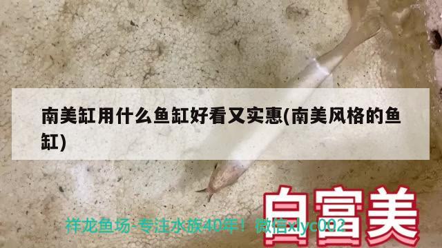 南美缸用什么魚缸好看又實(shí)惠(南美風(fēng)格的魚缸) 水族品牌 第1張