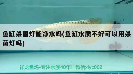 魚缸殺菌燈能凈水嗎(魚缸水質(zhì)不好可以用殺菌燈嗎) 觀賞魚企業(yè)目錄