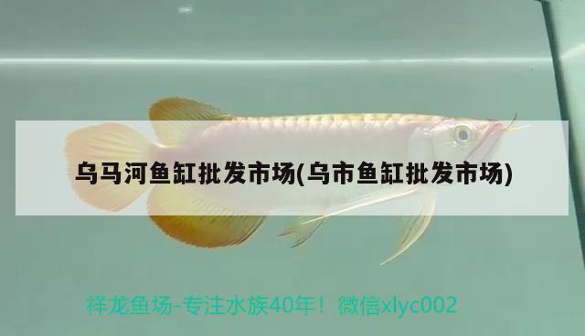 烏馬河魚(yú)缸批發(fā)市場(chǎng)(烏市魚(yú)缸批發(fā)市場(chǎng))