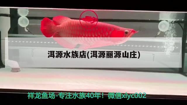 洱源水族店(洱源麗源山莊) 鴨嘴鯊魚