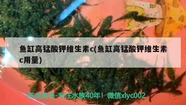 魚缸高錳酸鉀維生素c(魚缸高錳酸鉀維生素c用量) 豬鼻龜