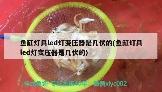 魚缸燈具led燈變壓器是幾伏的(魚缸燈具led燈變壓器是幾伏的) 養(yǎng)魚知識(shí)