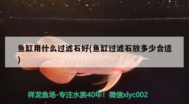 魚缸用什么過濾石好(魚缸過濾石放多少合適)