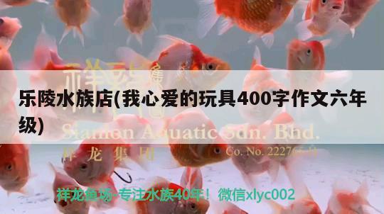 樂陵水族店(我心愛的玩具400字作文六年級) 白子球鯊魚