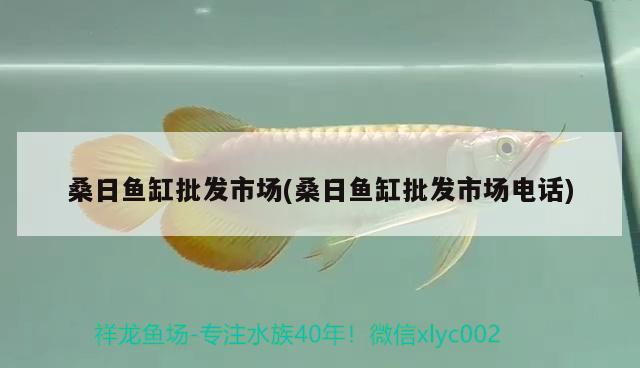 桑日魚缸批發(fā)市場(桑日魚缸批發(fā)市場電話) 赤荔鳳冠魚