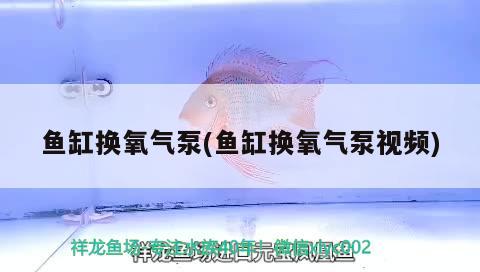 魚缸換氧氣泵(魚缸換氧氣泵視頻)