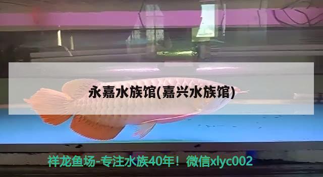 永嘉水族館(嘉興水族館) 廣州祥龍國際水族貿(mào)易