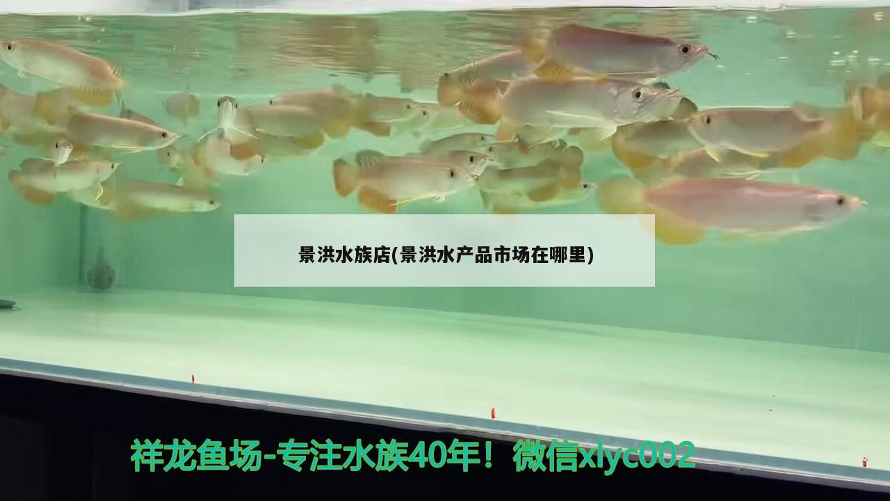 景洪水族店(景洪水產(chǎn)品市場在哪里)