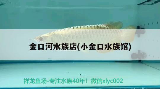 金口河水族店(小金口水族館) 生態(tài)瓶/創(chuàng)意缸/桌面微景缸