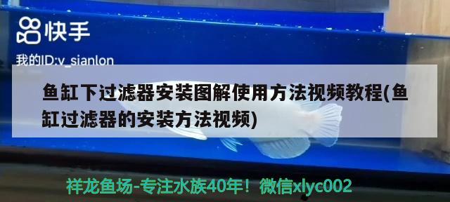 魚缸下過濾器安裝圖解使用方法視頻教程(魚缸過濾器的安裝方法視頻) 印尼虎苗 第3張