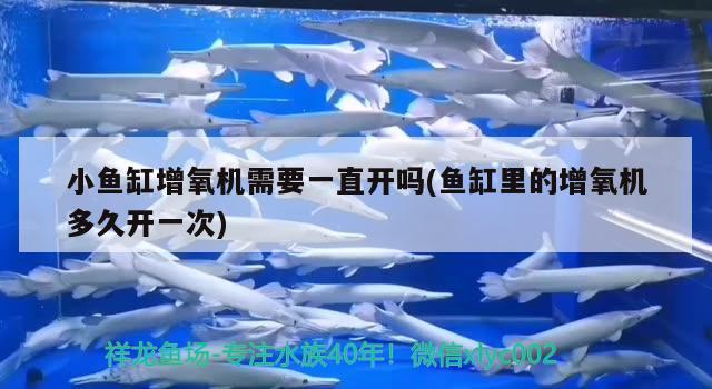 小魚缸增氧機(jī)需要一直開嗎(魚缸里的增氧機(jī)多久開一次) 養(yǎng)魚的好處