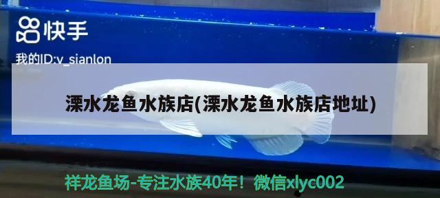 溧水龍魚水族店(溧水龍魚水族店地址) 蝴蝶鯉魚苗