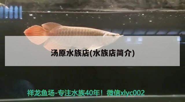 湯原水族店(水族店簡(jiǎn)介)