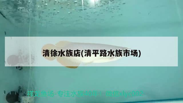 清徐水族店(清平路水族市場(chǎng)) 非洲象鼻魚