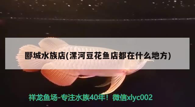 郾城水族店(漯河豆花魚店都在什么地方) 刀魚魚