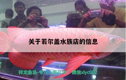 關(guān)于若爾蓋水族店的信息 森森魚(yú)缸