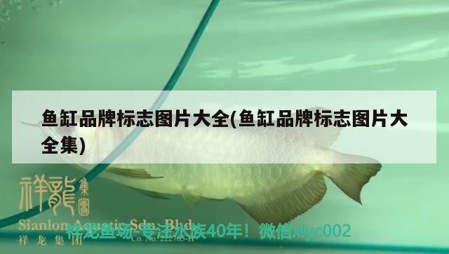 魚缸品牌標志圖片大全(魚缸品牌標志圖片大全集)