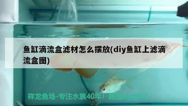 魚缸滴流盒濾材怎么擺放(diy魚缸上濾滴流盒圖)