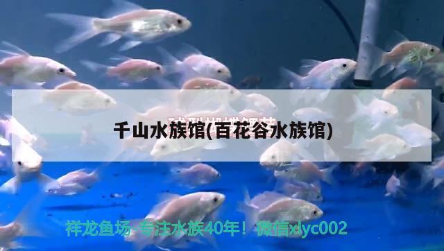 千山水族館(百花谷水族館)