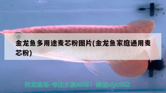 金龍魚(yú)多用途麥芯粉圖片(金龍魚(yú)家庭通用麥芯粉) 其他益生菌