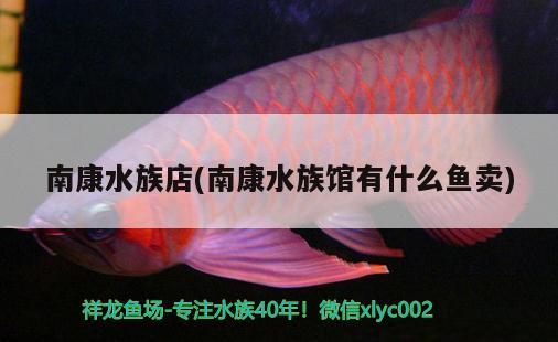 南康水族店(南康水族館有什么魚賣) 圣菲埃及魚