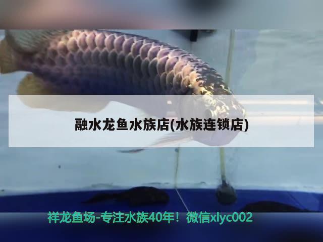 融水龍魚水族店(水族連鎖店) 新加坡號半紅龍魚（練手級紅龍魚）