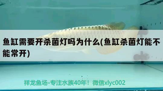 魚缸需要開殺菌燈嗎為什么(魚缸殺菌燈能不能常開) 龍魚芯片掃碼器