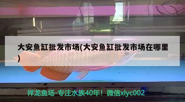 大安魚缸批發(fā)市場(大安魚缸批發(fā)市場在哪里) 皇冠黑白魟魚