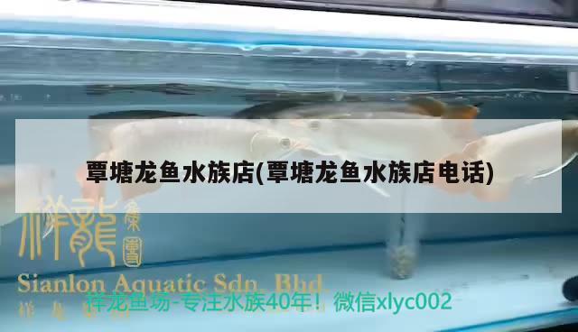 覃塘龍魚水族店(覃塘龍魚水族店電話) 黃金斑馬魚