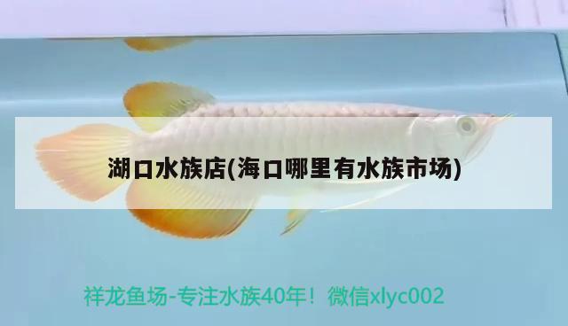 湖口水族店(?？谀睦镉兴迨袌?chǎng)) 虎魚魚苗