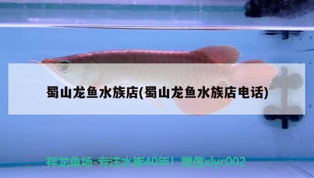 蜀山龍魚(yú)水族店(蜀山龍魚(yú)水族店電話)