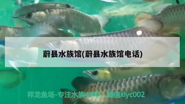 蔚縣水族館(蔚縣水族館電話) 祥龍魚場(chǎng)