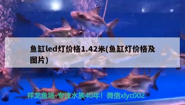 魚缸led燈價格1.42米(魚缸燈價格及圖片)