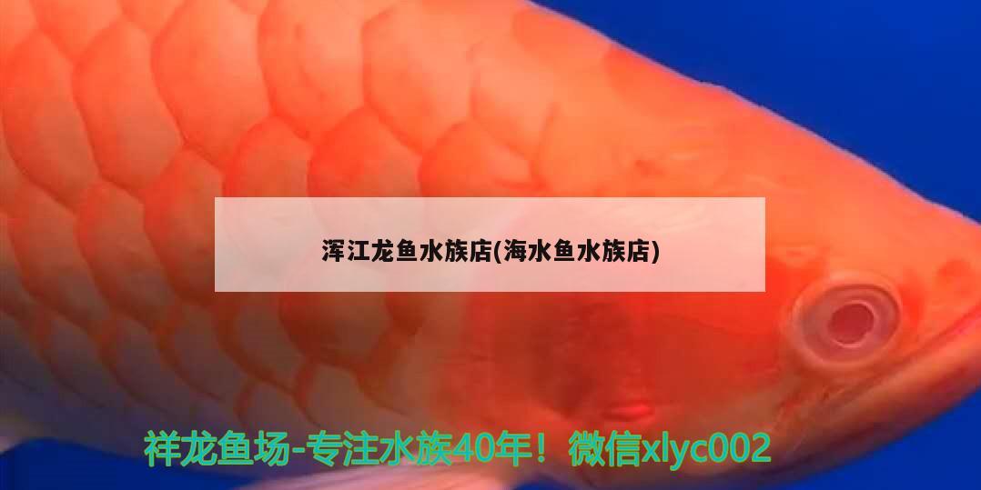 渾江龍魚水族店(海水魚水族店) 海水魚 第2張