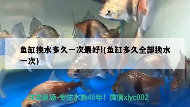 魚(yú)缸換水多久一次最好!(魚(yú)缸多久全部換水一次) 其它水族用具設(shè)備