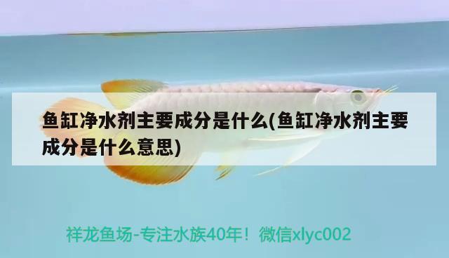 魚(yú)缸凈水劑主要成分是什么(魚(yú)缸凈水劑主要成分是什么意思) 蘇虎