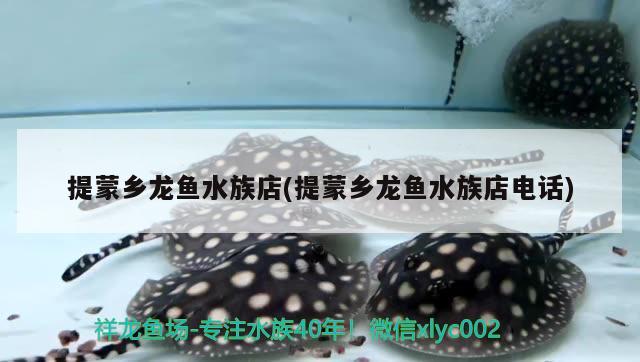 提蒙鄉(xiāng)龍魚水族店(提蒙鄉(xiāng)龍魚水族店電話)