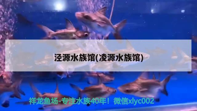 涇源水族館(凌源水族館)