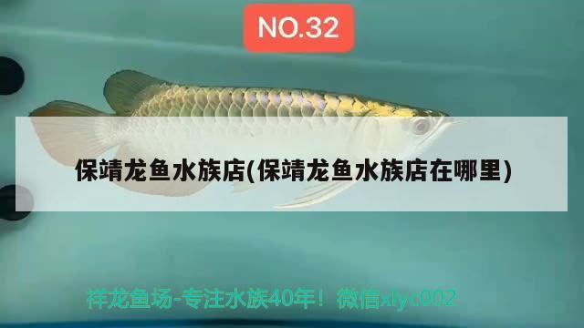 保靖龍魚水族店(保靖龍魚水族店在哪里) 廣州龍魚批發(fā)市場