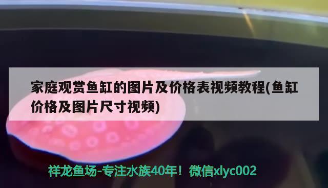 家庭觀賞魚缸的圖片及價格表視頻教程(魚缸價格及圖片尺寸視頻)