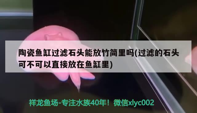 陶瓷魚缸過濾石頭能放竹簡里嗎(過濾的石頭可不可以直接放在魚缸里) 黃金斑馬魚