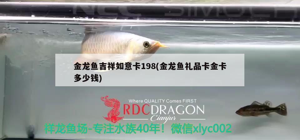 金龍魚吉祥如意卡198(金龍魚禮品卡金卡多少錢)