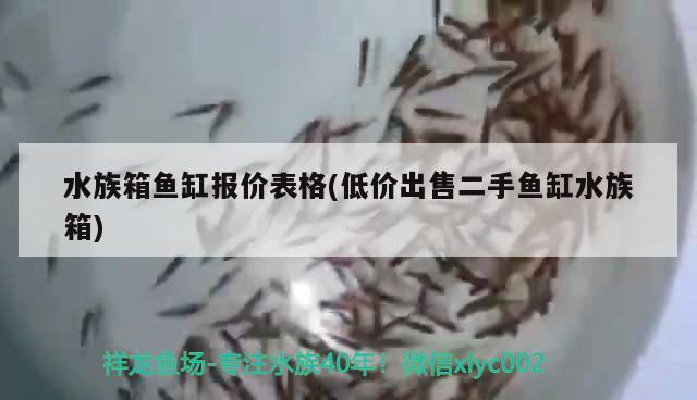 水族箱魚缸報價表格(低價出售二手魚缸水族箱) 魚缸/水族箱