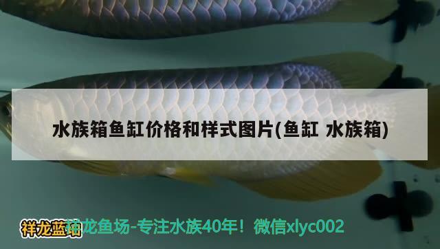 水族箱魚(yú)缸價(jià)格和樣式圖片(魚(yú)缸水族箱) 魚(yú)缸/水族箱