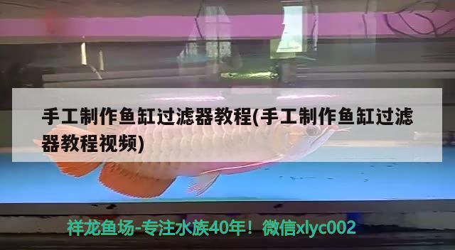 手工制作魚缸過濾器教程(手工制作魚缸過濾器教程視頻) 藍帆三間魚