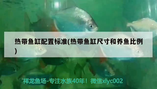 熱帶魚缸配置標(biāo)準(zhǔn)(熱帶魚缸尺寸和養(yǎng)魚比例) 國產(chǎn)元寶鳳凰魚