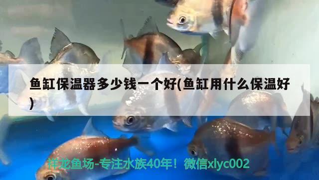 魚缸保溫器多少錢一個(gè)好(魚缸用什么保溫好) 魚缸水質(zhì)穩(wěn)定劑