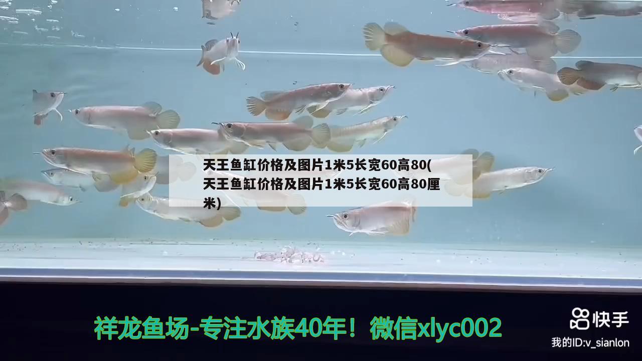 天王魚缸價格及圖片1米5長寬60高80(天王魚缸價格及圖片1米5長寬60高80厘米) 魚缸百科